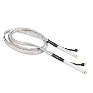 Big Silver Oval Speaker Cable