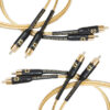 Gold Oval Micro Interconnects