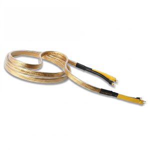 Gold Oval Speaker Cables