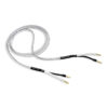 Silver Oval Two Speaker Cable