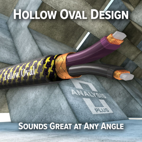 Hollow Oval