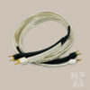 Big Silver Oval Speaker Cable