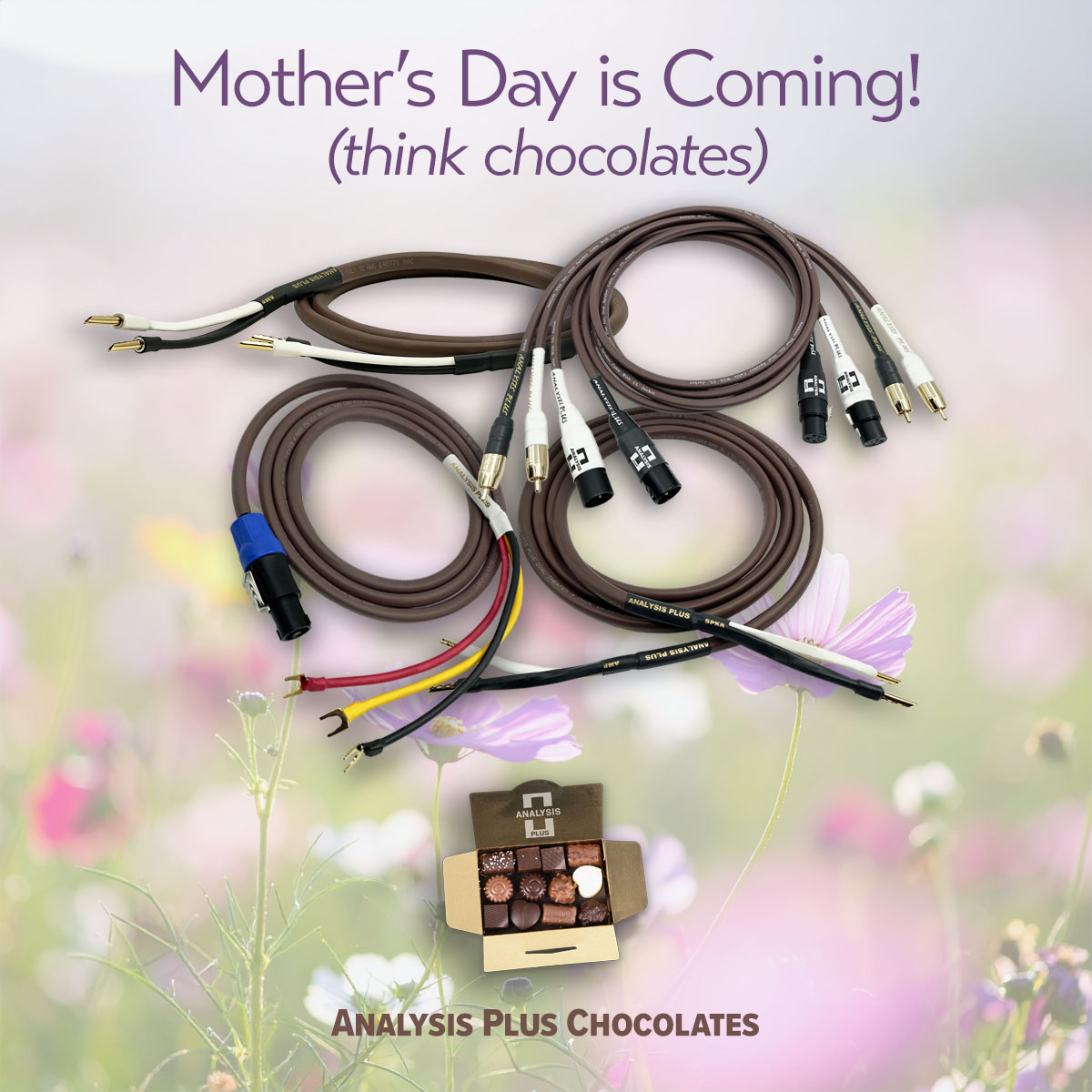 Mother's Day Chocolates