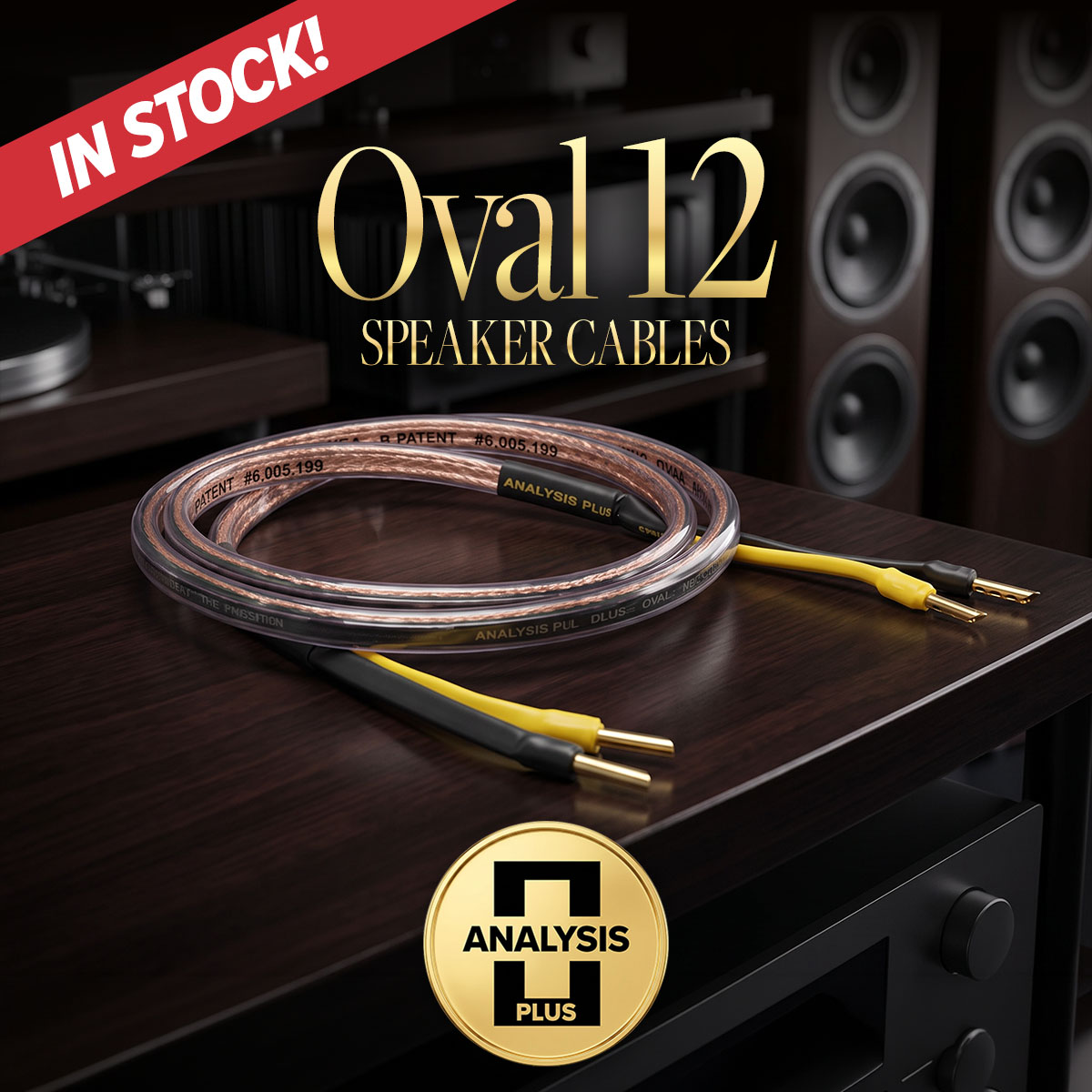 Black Oval 12 Speaker Cables