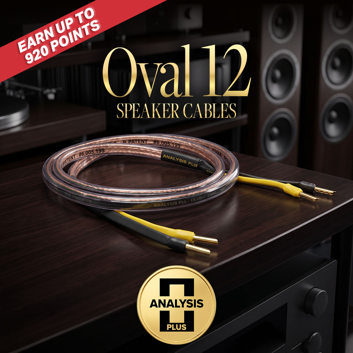 Oval 12 Speaker Cables